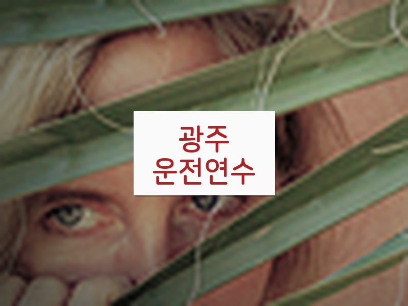 광주운전연수 후기