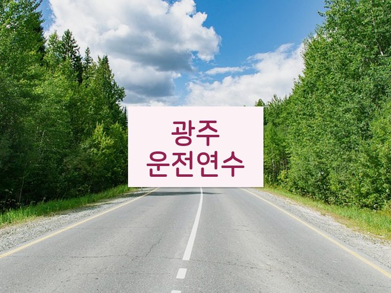 광주운전연수 후기