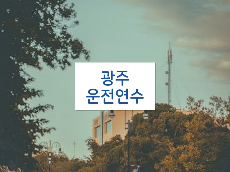 광주운전연수 후기