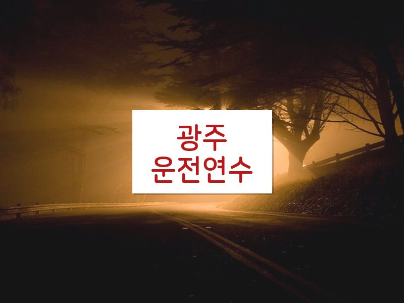 광주운전연수 후기