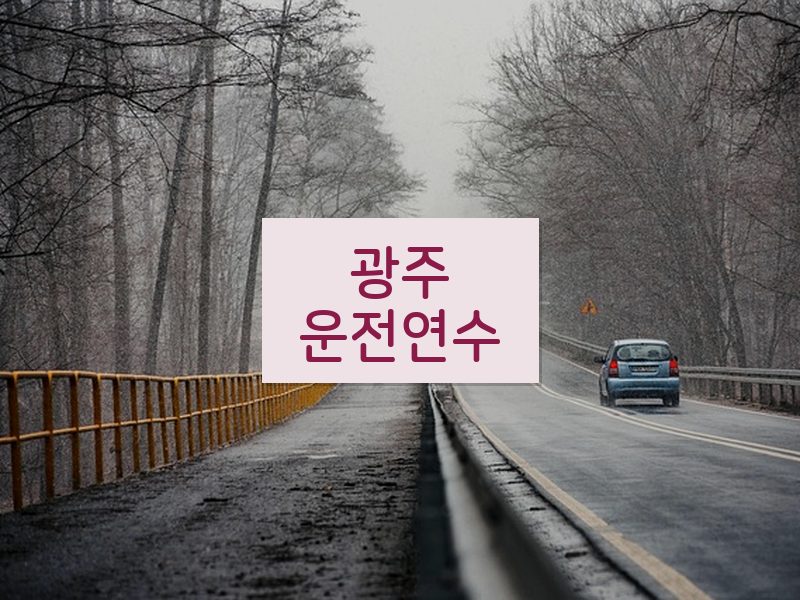 광주운전연수 후기
