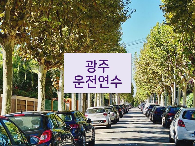 광주운전연수 후기