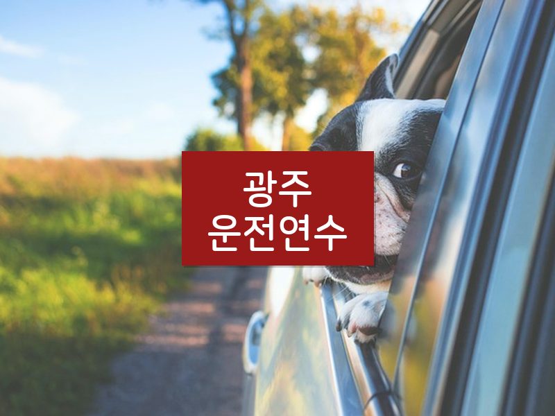 광주운전연수 후기