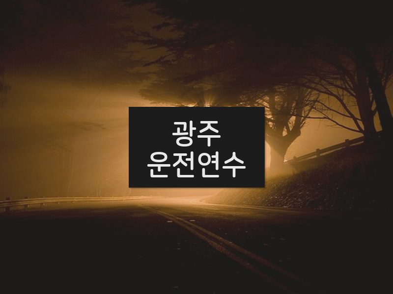 광주운전연수 후기