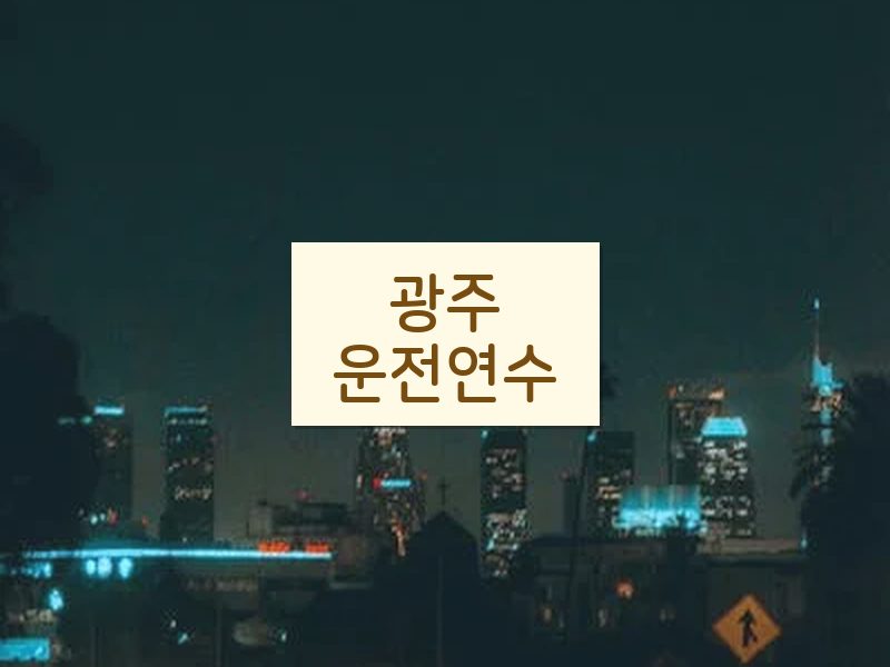 광주운전연수 후기