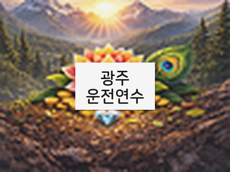 광주운전연수 후기