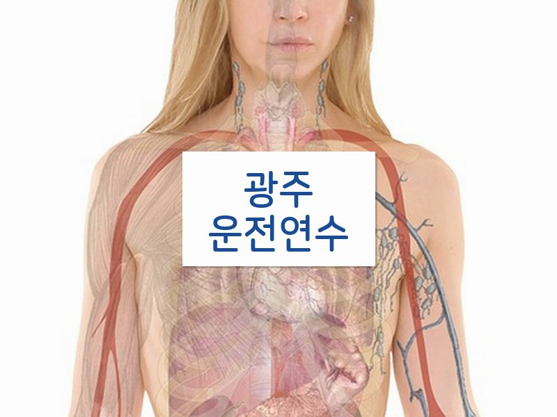 광주운전연수 후기