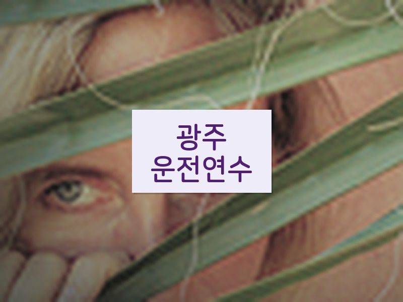 광주운전연수 후기