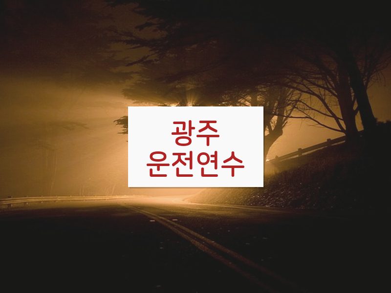 광주운전연수 후기