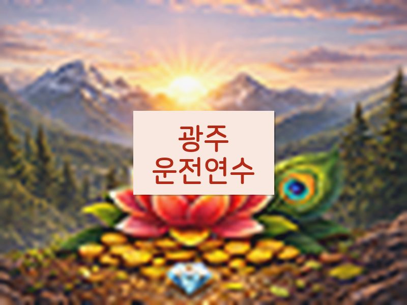 광주운전연수 후기