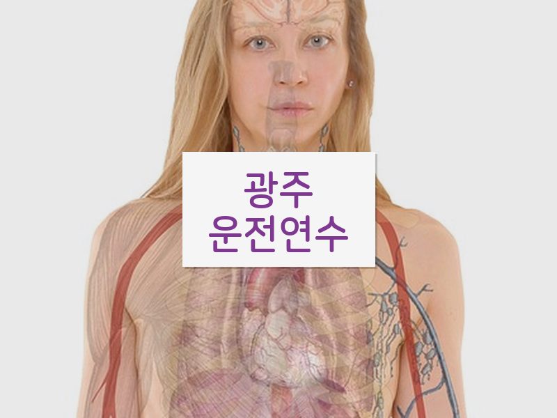 광주운전연수 후기