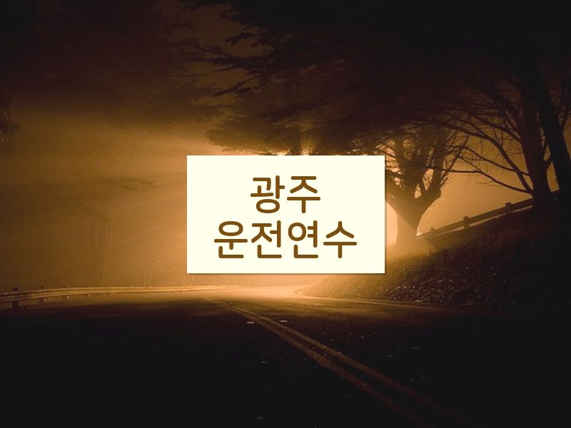 광주운전연수 후기