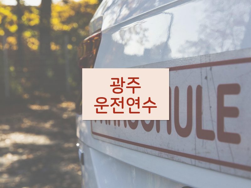 광주운전연수 후기
