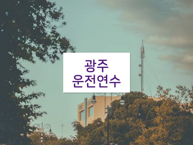 광주운전연수 후기