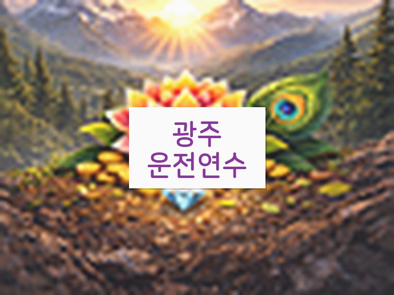 광주운전연수 후기
