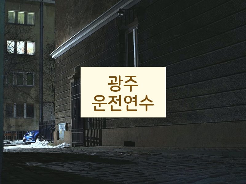 광주운전연수 후기