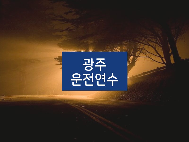광주운전연수 후기