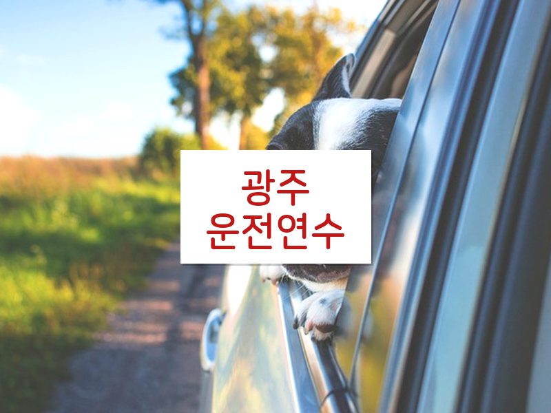 광주운전연수 후기