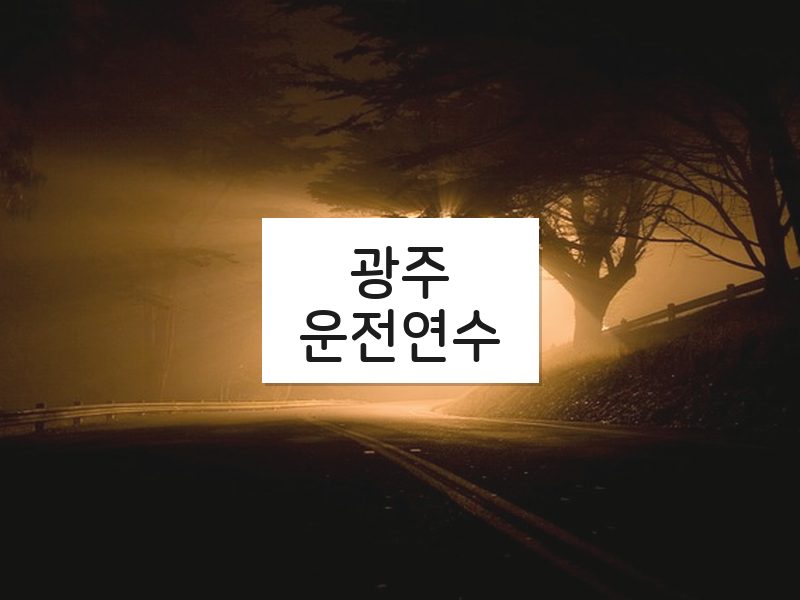 광주운전연수 후기