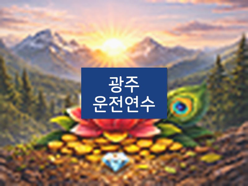 광주운전연수 후기