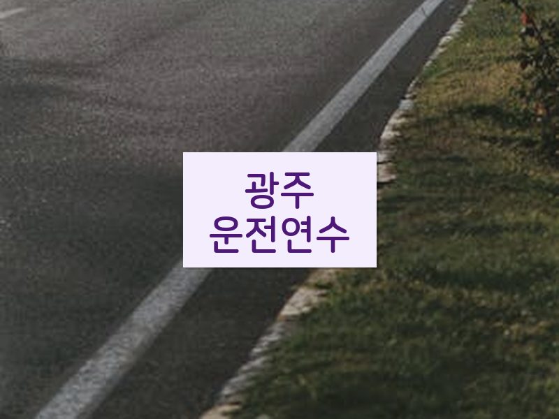 광주운전연수 후기