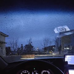 약국 가기 위한 운전 연수