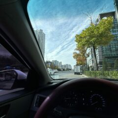 밀집 주차장 쓰러지던 걸 안 외웠어요