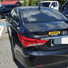 가정의일일 방문