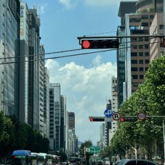 신혼부부 주차 완전 만족