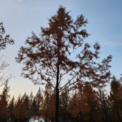 동네 길 연습 정말 도움돼요