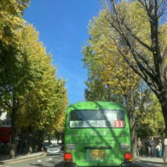 트럭 차선 불안