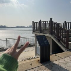 좌회전 너무 무서웠어요