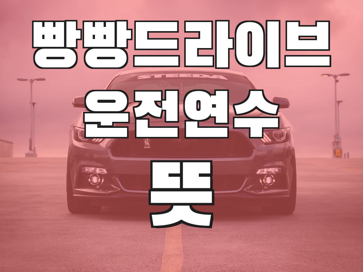 빵빵드라이브 운전연수 뜻 - 운전연수의 의미와 필요성