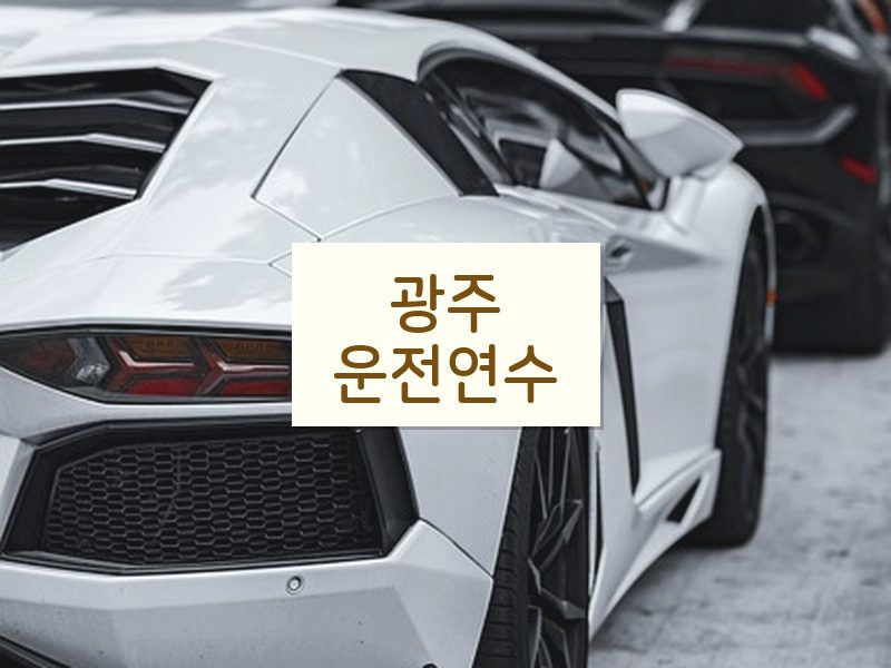 광주운전연수 후기