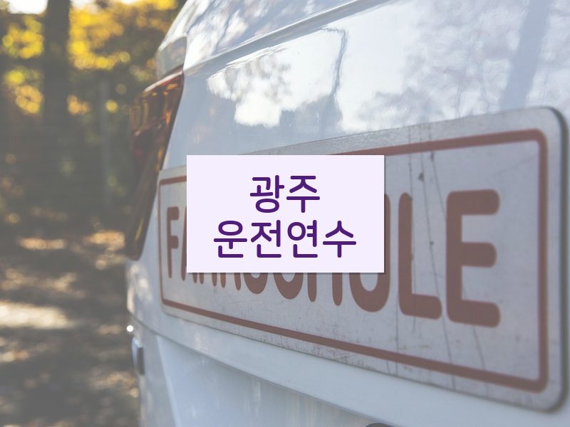광주운전연수 후기