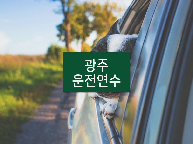 광주운전연수 후기