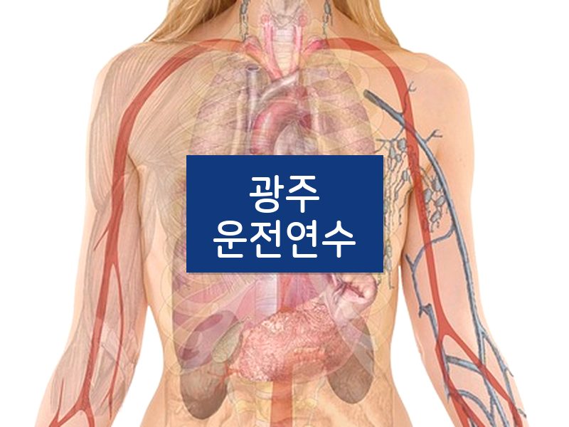 광주운전연수 후기