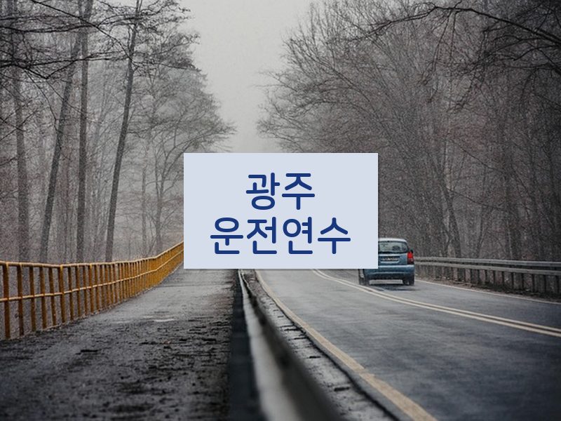 광주운전연수 후기