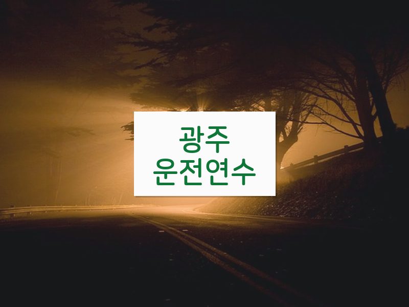 광주운전연수 후기