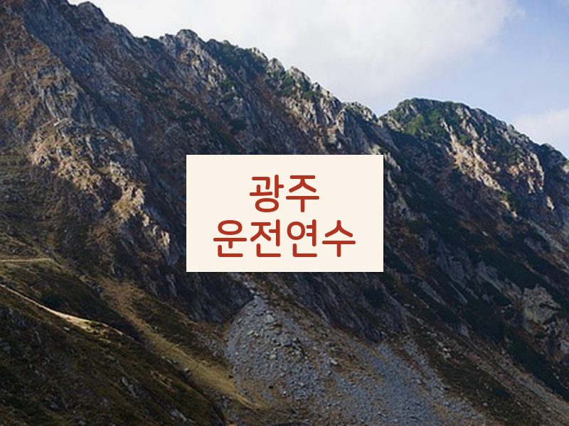 광주운전연수 후기
