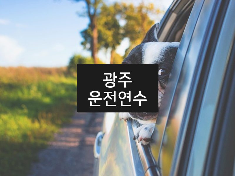 광주운전연수 후기