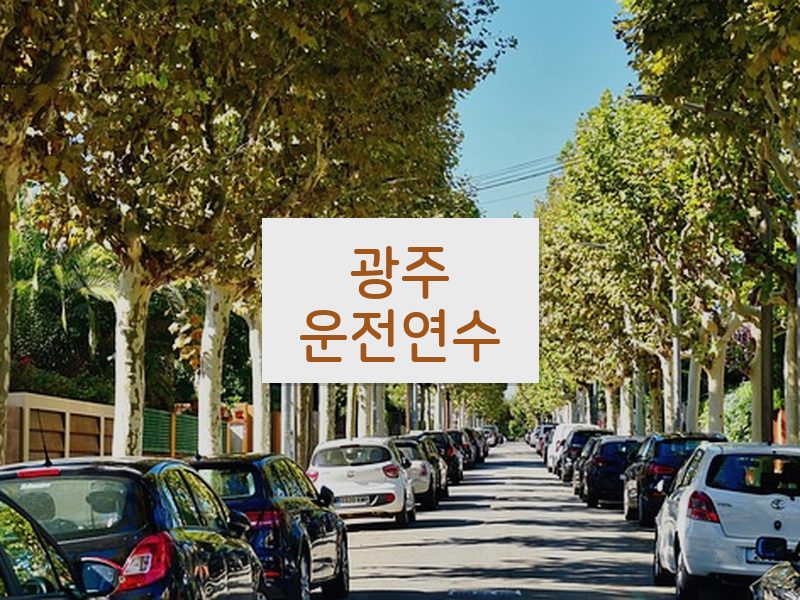 광주운전연수 후기
