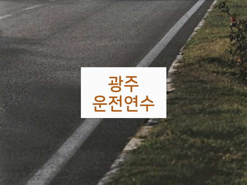 광주운전연수 후기