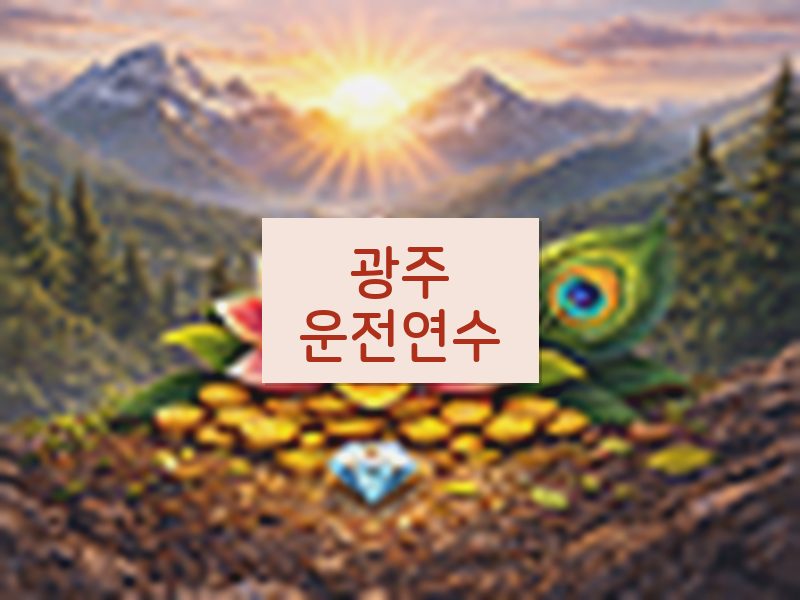 광주운전연수 후기