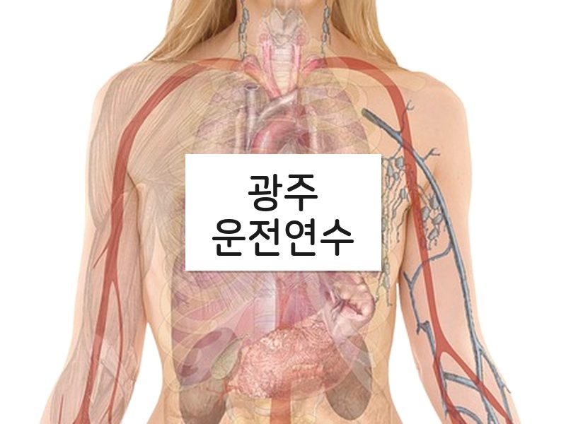 광주운전연수 후기