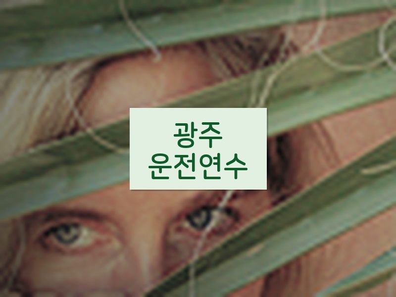광주운전연수 후기