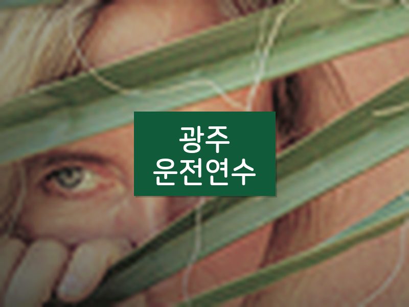 광주운전연수 후기