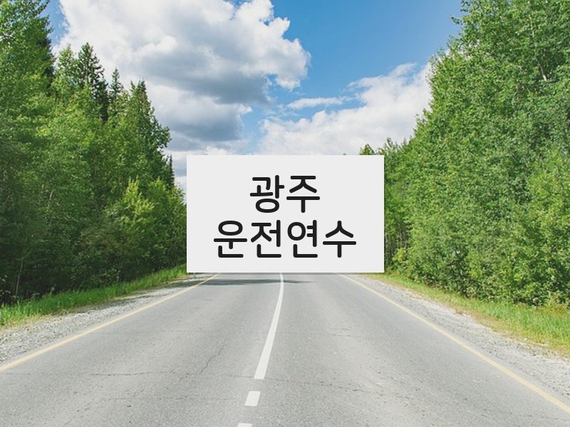 광주운전연수 후기