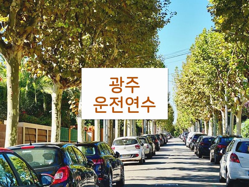 광주운전연수 후기