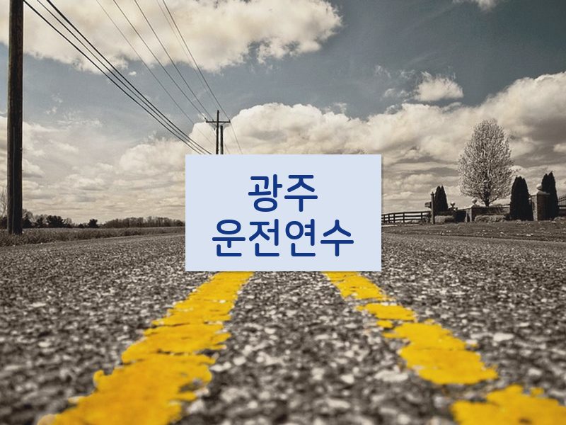 광주운전연수 후기